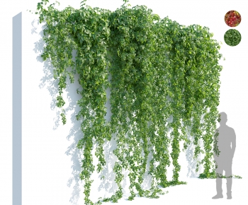 Modern Vine-ID:341339175