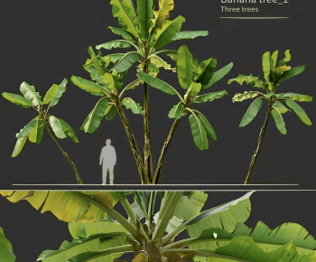 Modern Tree-ID:223835954