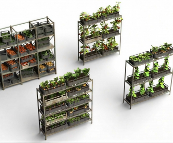 Modern Crop-ID:184062009