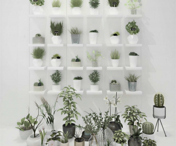 Modern Potted Green Plant-ID:674156903