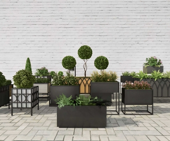 Modern Flower Bed, Flower Bowl, Flower Box-ID:467824941
