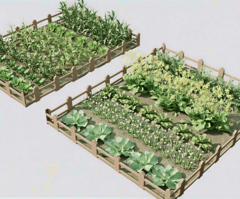 Modern Crop-ID:718358997