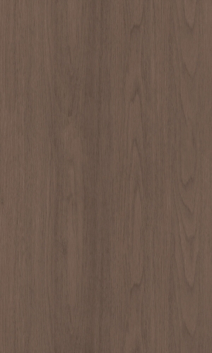 ModernWood Texture