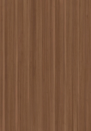 ModernWood Texture