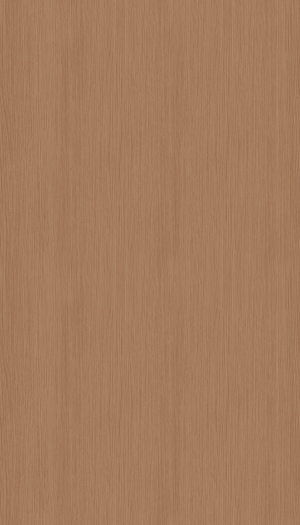 ModernWood Texture