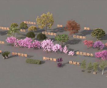 Modern Tree-ID:784712083