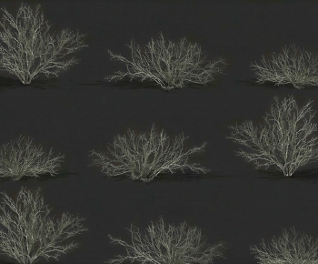 Modern Shrubbery-ID:448729993