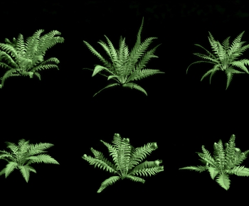 Modern Shrubbery-ID:285255911