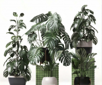Modern Ground Green Plant Potted Plants-ID:494751932