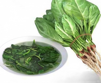 Modern Vegetables-ID:707432031