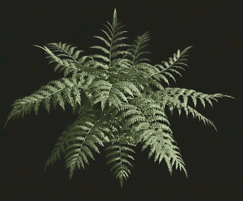 Modern The Grass-ID:373505121