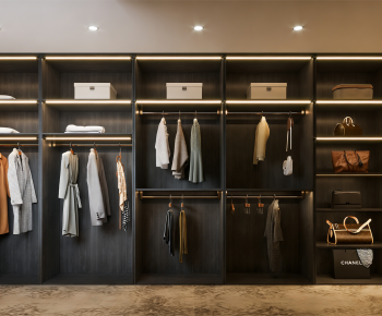 Modern Clothes Storage Area-ID:621604925