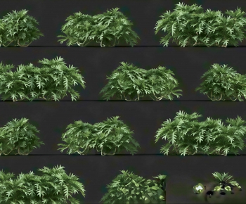 Modern Shrubbery-ID:544713973