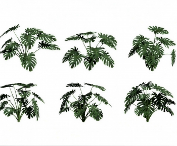 Modern Shrubbery-ID:447046049