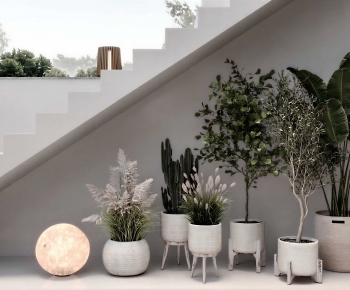 Modern Ground Green Plant Potted Plants-ID:411351923
