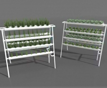 Modern Crop-ID:265562065