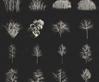 Modern Tree-ID:818861964