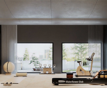 Modern Home Fitness Room-ID:253520977
