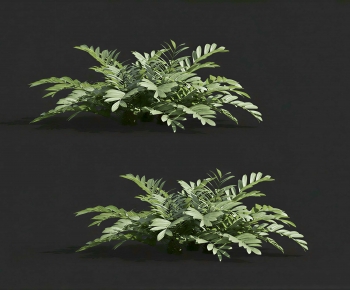 Modern Flowers And Grass-ID:916369926
