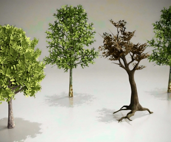 Modern Tree-ID:153949026