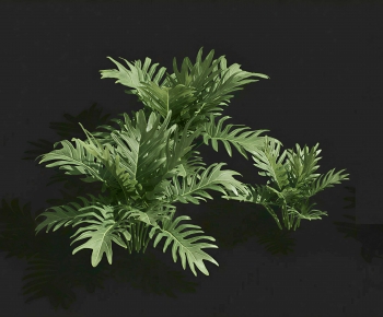 Modern Flowers And Grass-ID:449806939