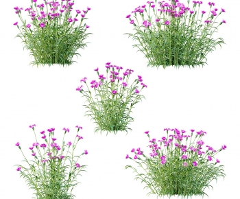 Modern Flowers And Grass-ID:717134005