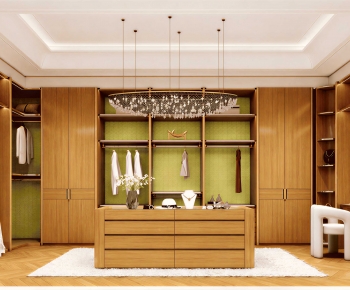 Modern Clothes Storage Area-ID:956475028