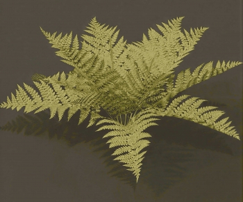 Modern Flowers And Grass-ID:791331058