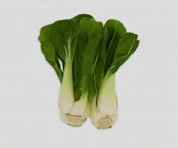 Modern Crop-ID:252011061