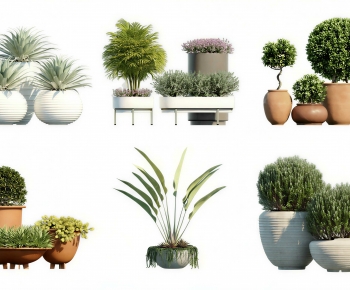 Modern Ground Green Plant Potted Plants-ID:215137961