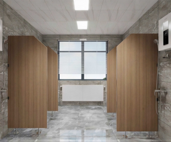 Modern Public Toilet-ID:246232996