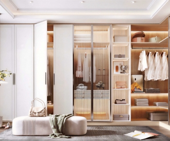 Modern Clothes Storage Area-ID:897009485