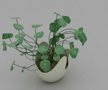 Modern Potted Green Plant-ID:997751958