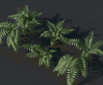 Modern The Grass-ID:173101907