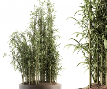 Modern Ground Green Plant Potted Plants-ID:929166082