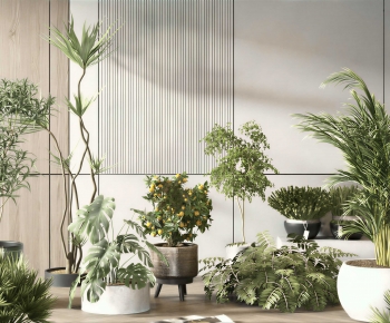 Modern Ground Green Plant Potted Plants-ID:713677881