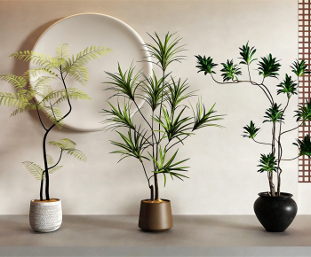 Modern Ground Green Plant Potted Plants-ID:803670919