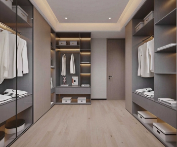 Modern Clothes Storage Area-ID:954014068