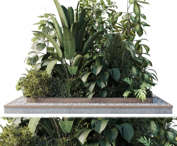 Modern Plant Pile-ID:543931015