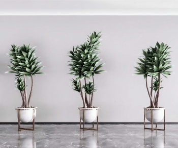 Modern Ground Green Plant Potted Plants-ID:581717976