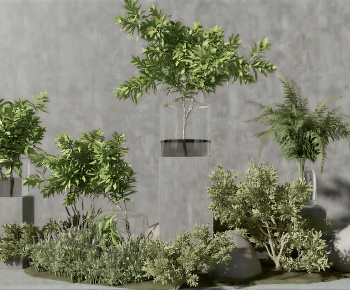Modern Plant Wall-ID:807157998