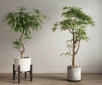 Modern Ground Green Plant Potted Plants-ID:815401192