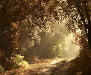 Modern Landscape-ID:419334891