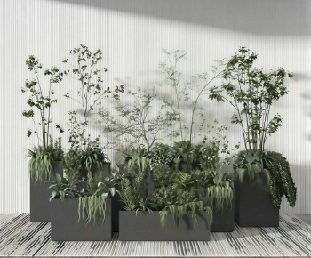 Modern Flower Bed, Flower Bowl, Flower Box-ID:431160936