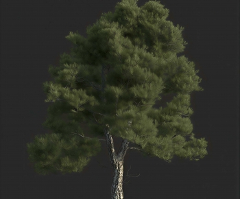 Modern Tree-ID:843482974