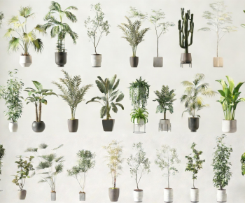 Modern Ground Green Plant Potted Plants-ID:628531083