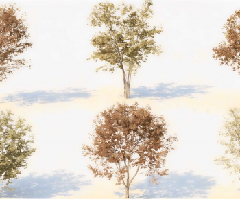 Modern Tree-ID:566396952