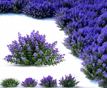 Modern Flowers And Grass-ID:277549984