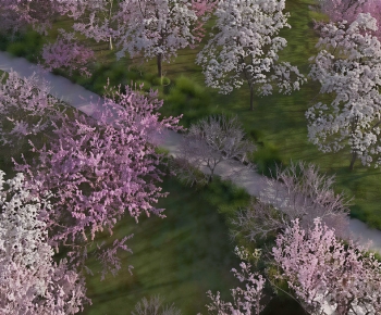 Modern Landscape-ID:676078086
