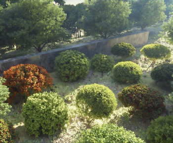 Modern Shrubbery-ID:124480746